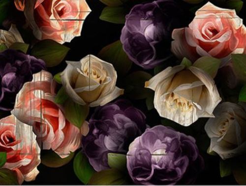 PDH01390 Roses dark (40x50)